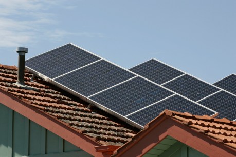 Revealed: The suburbs, states and territories driving Australia’s rooftop solar boom